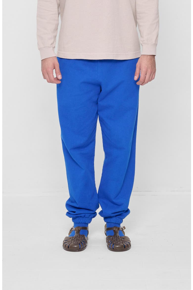 Trash Sweatpants, Alternate, color, Lapis