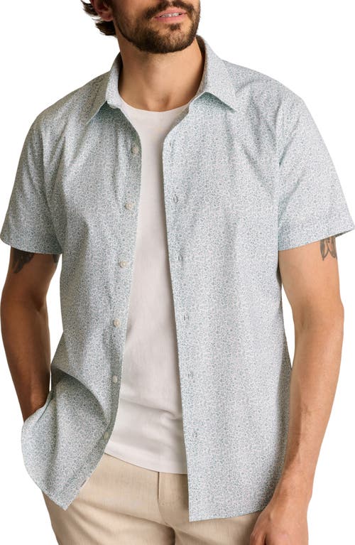 Bonobos Vine Print Tech Short Sleeve Button-up Shirt In Gray