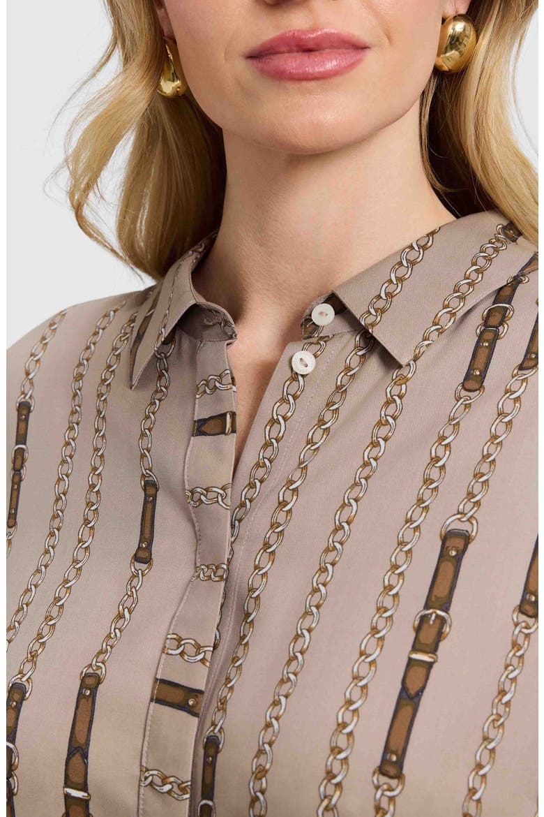 Luna Chain Stripe Button-Up Shirt, Alternate, color, BROWN MULTI