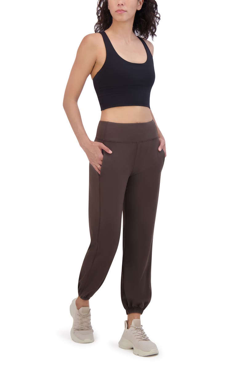 SAGE COLLECTIVE Skinny Performance Joggers, Alternate, color, Mulch