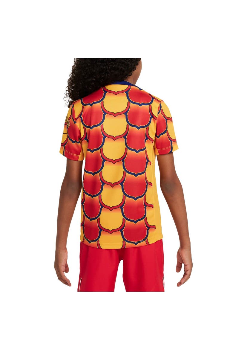 Youth Nike Gold Barcelona 2023/24 Drac Pack Academy Pro Pre-Match Top, Alternate, color, Gold