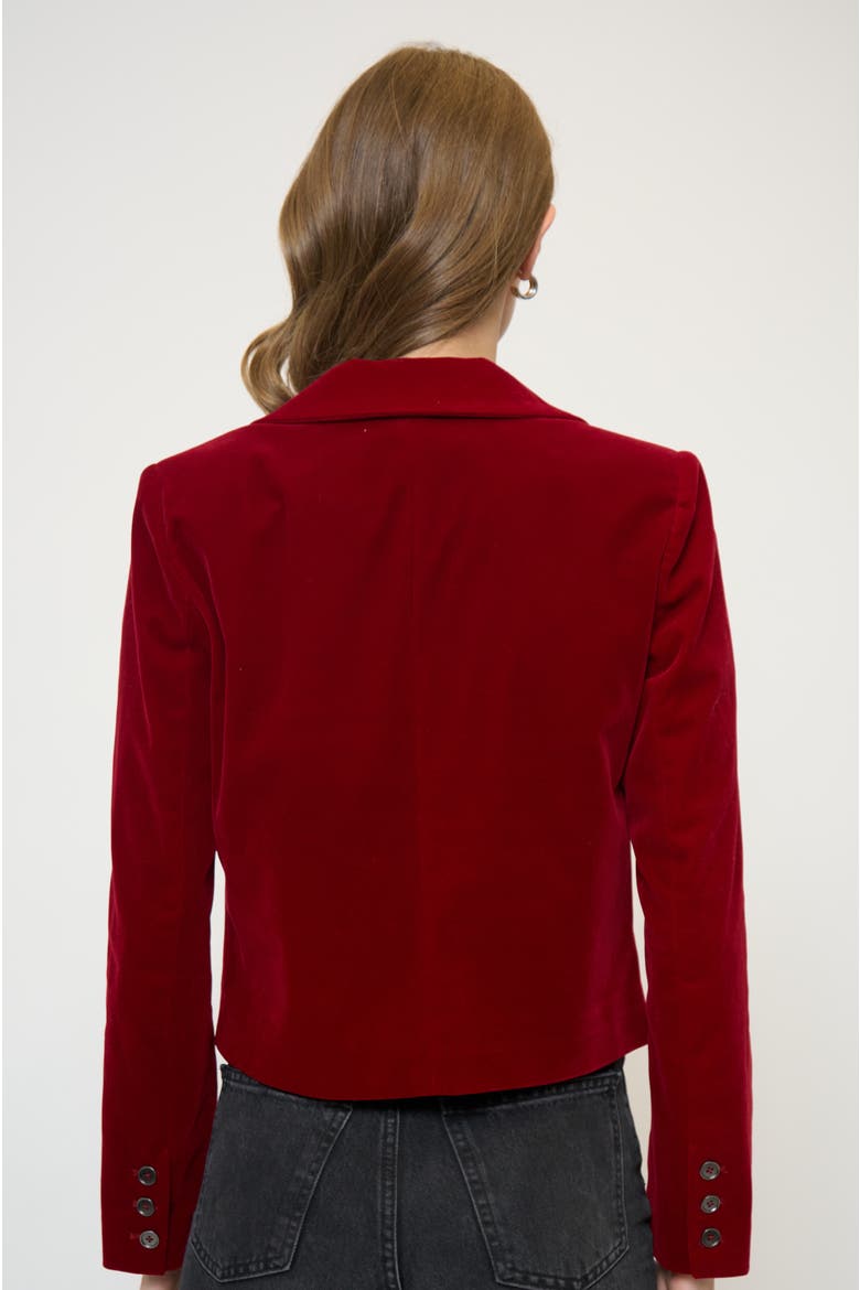 Ember Velvet Boxy Blazer, Alternate, color, BURGUNDY