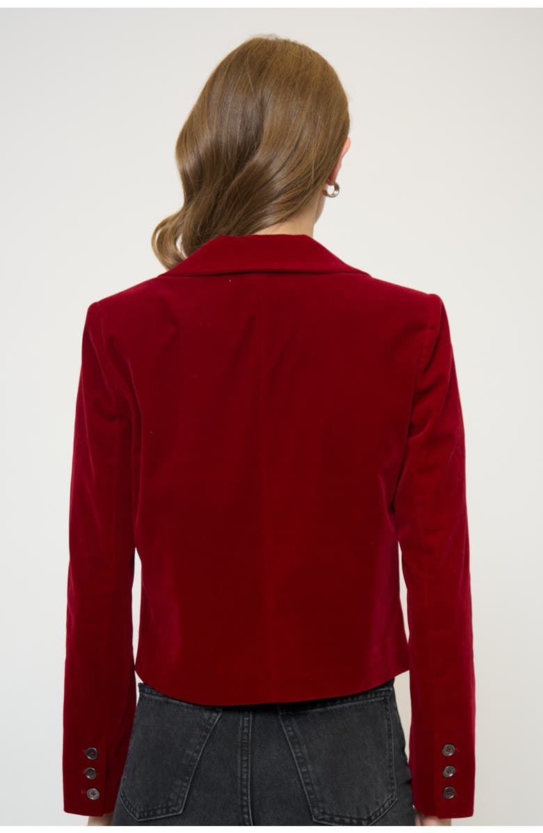 Central Park West Ember Velvet Boxy Blazer, Alternate, color, Burgundy