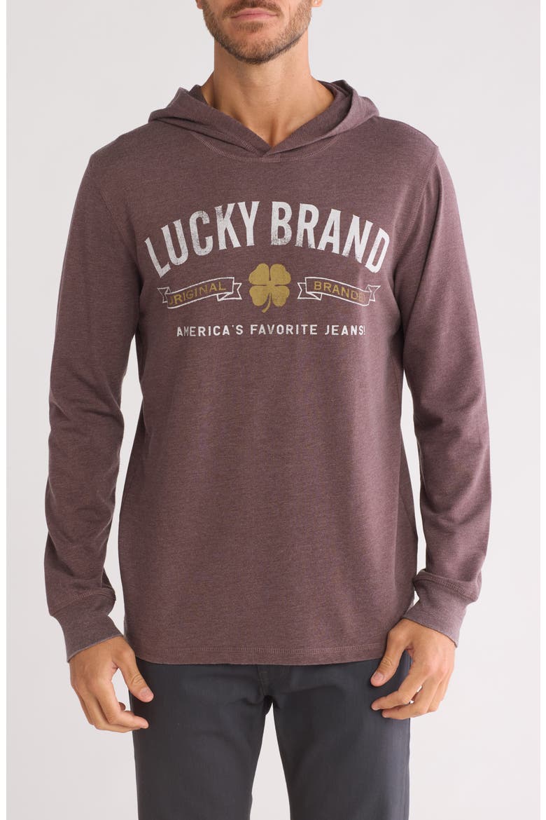 Logo Graphic Hoodie, Main, color, FALCON