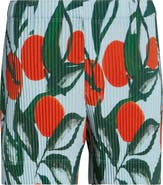 Homme Plissé Issey Miyake Pleated Fruits & Vegetables Print Shorts