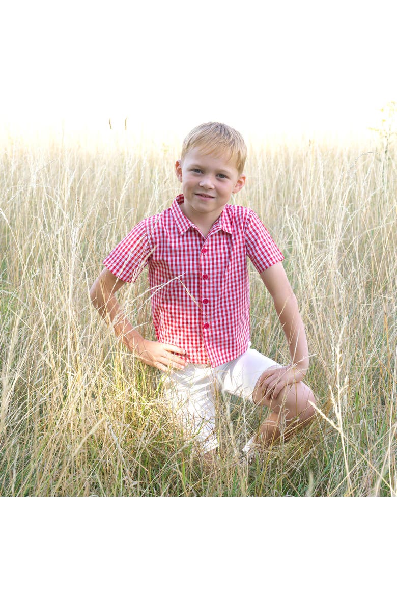 Gingham Shirt, Alternate, color, Red