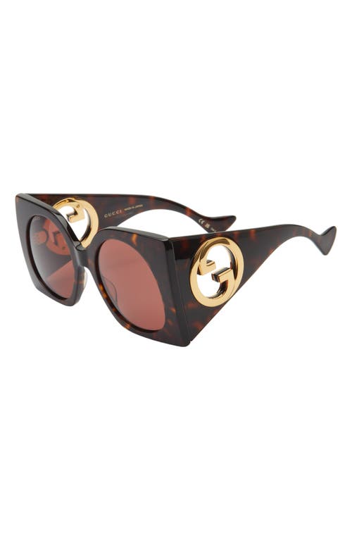 Gucci 55mm Square Sunglasses In Havana Havana Brown
