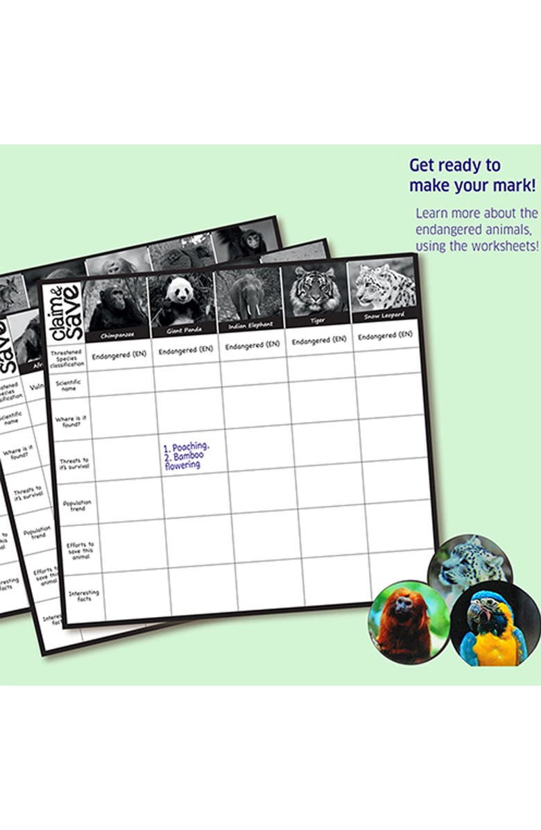 Chalk & Chuckles Claim and Save, Alternate, color, NO COLOR