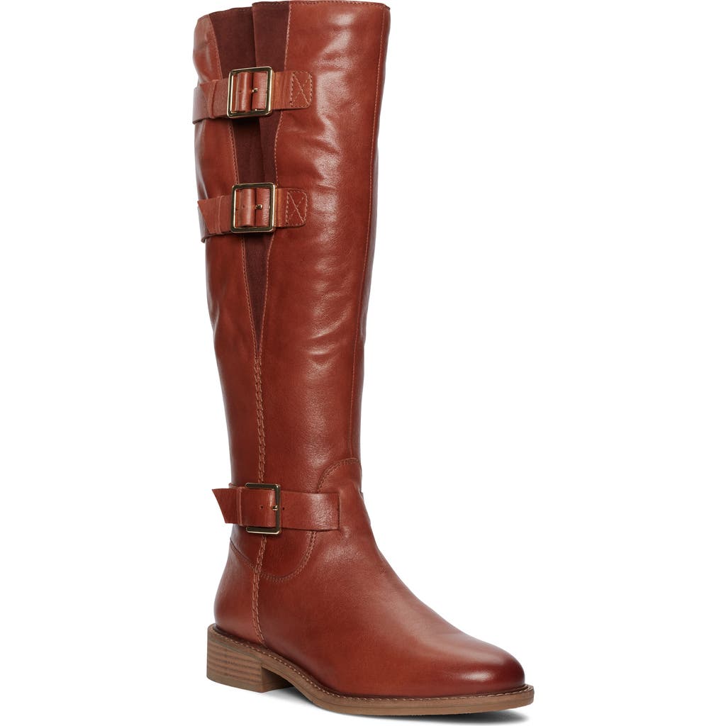 Clarks Cologne Up In Brown