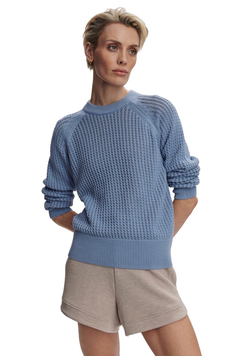 Clay Open Knit Sweater, Alternate, color, RAIN BLUE