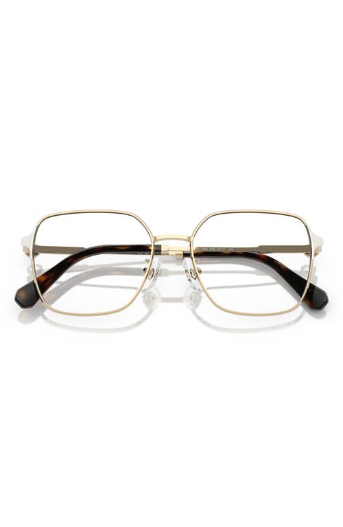 Swarovski 53mm Square Optical Glasses In Pale Gold