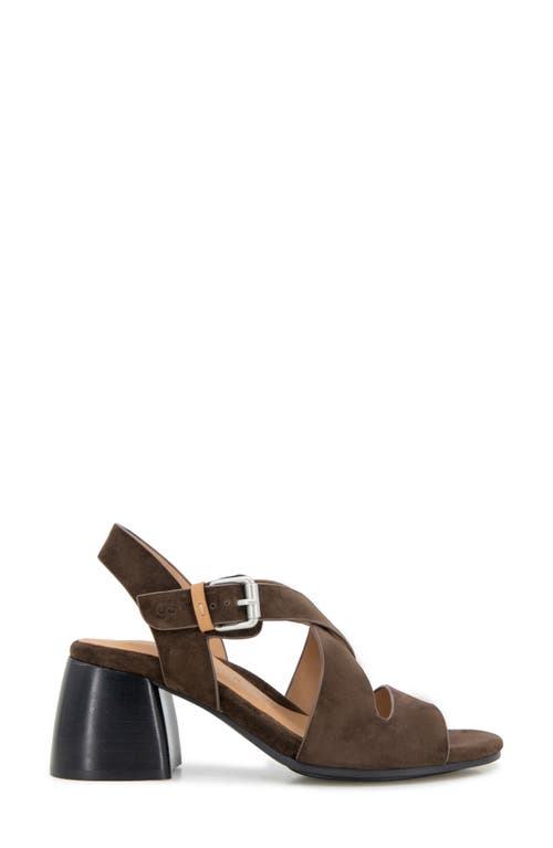 Gentle Souls Mela Crisscross Sandal In Brown