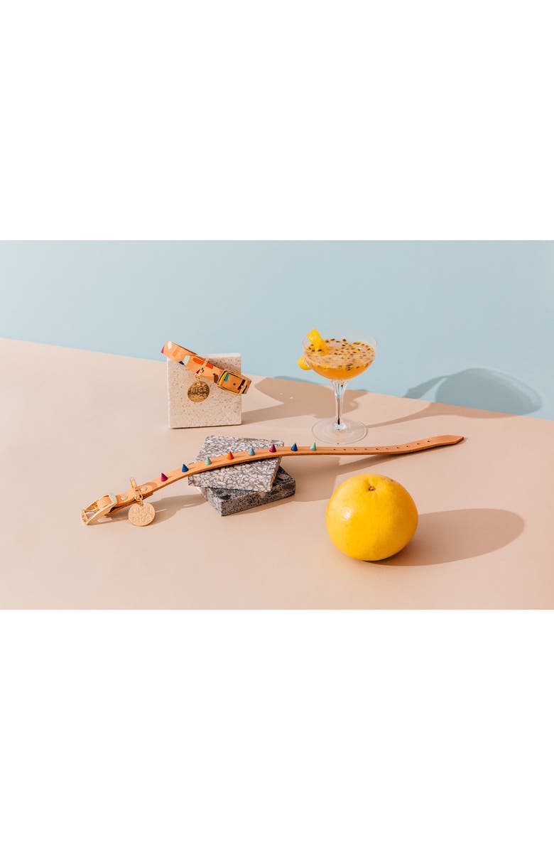 NICE DIGS Confetti Leather Dog Collar, Alternate, color,