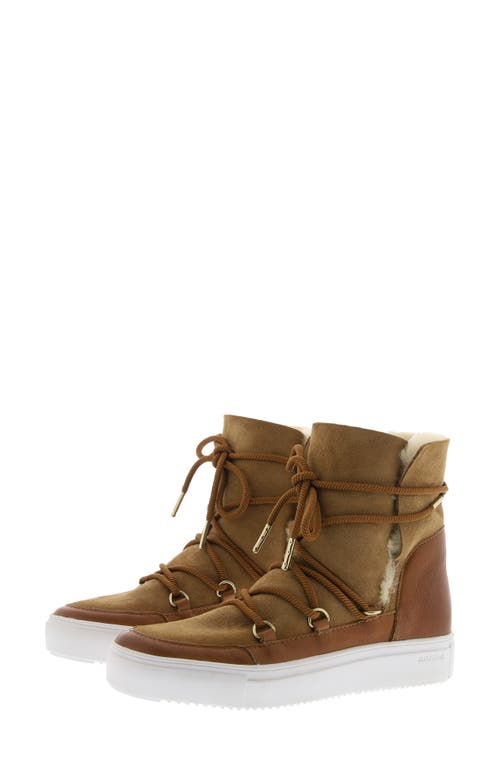 Blackstone Ul87 Genuine Shearling Lined Boot In Brown