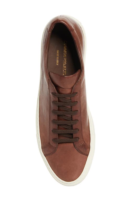Common Projects Achilles Sneaker In Brown