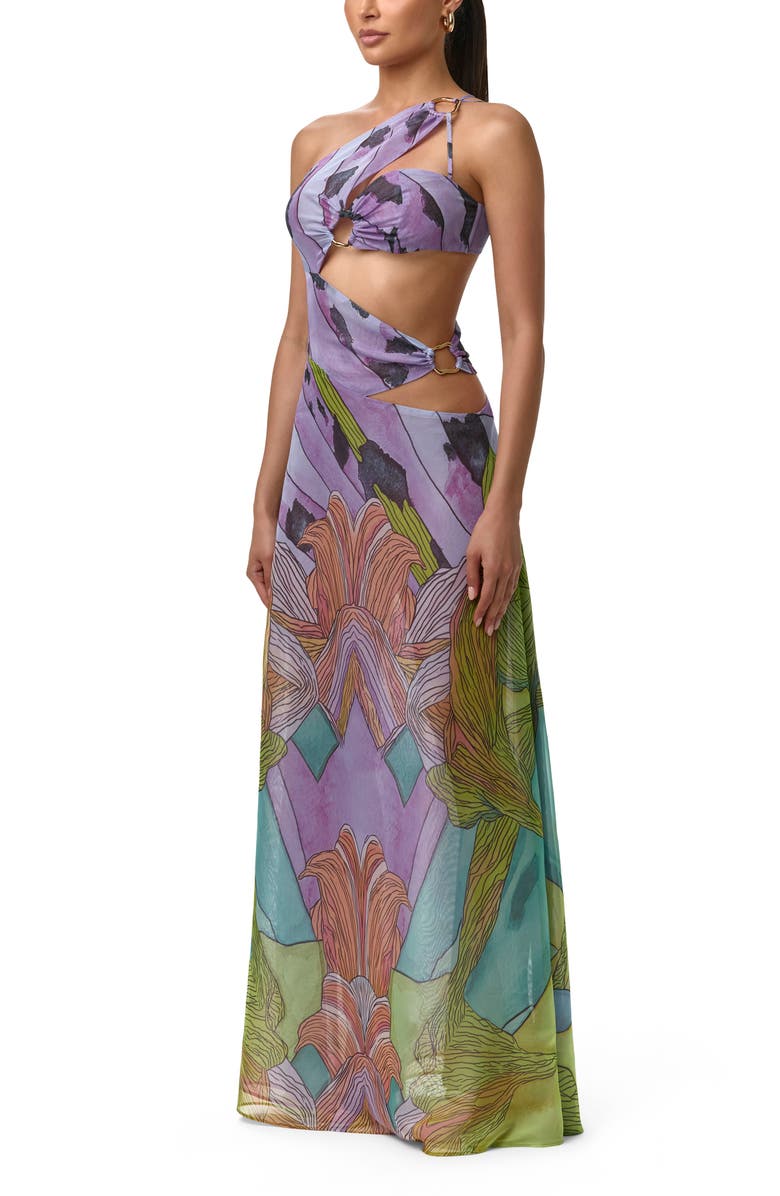Naked Wardrobe Print Sheer Chiffon Cutout Maxi Dress, Alternate, color, Lethal Botanical