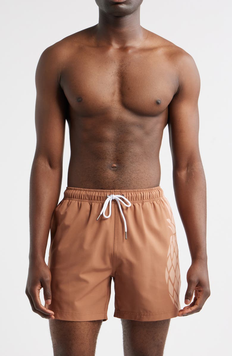 MAVRANS Sand Pineapple Waterproof Swim Trunks, Main, color, Brown