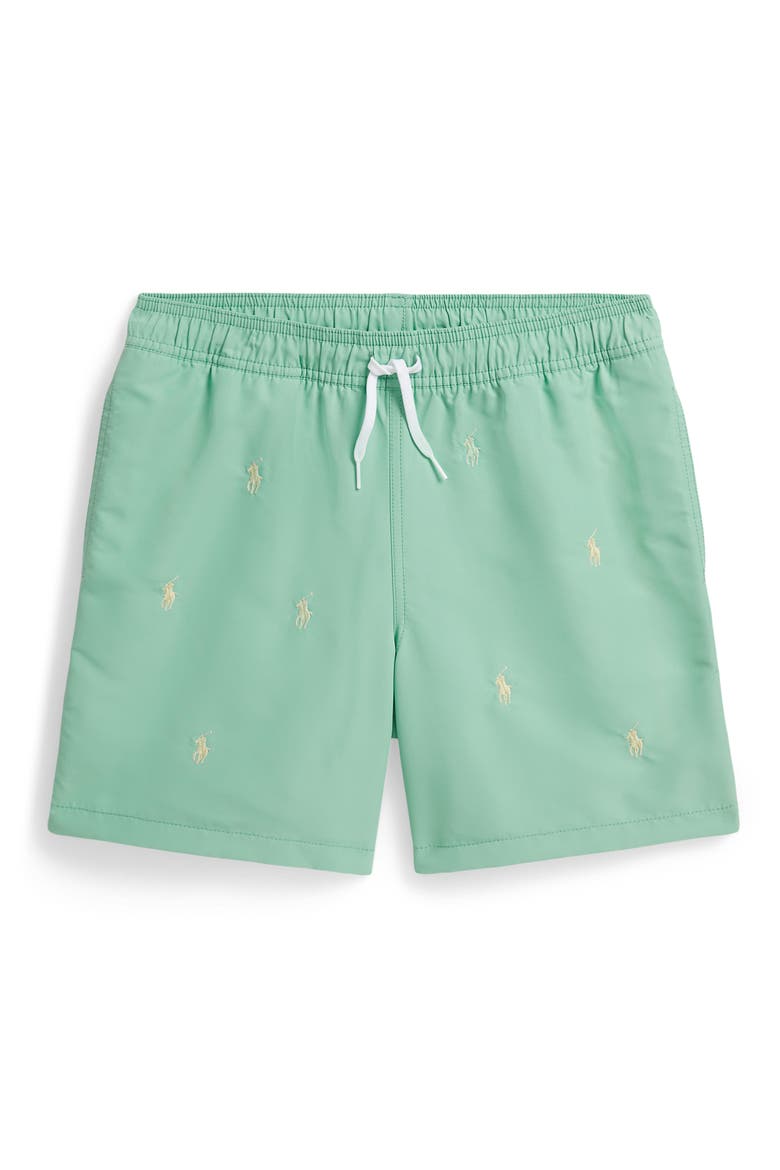 Kids' Traveler Embroidered Pony Swim Trunks, Main, color, CELADON