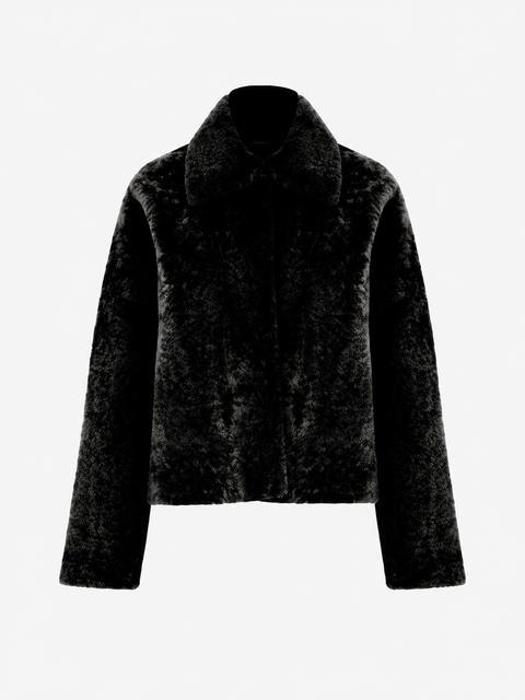 Legato Shorn Merino Shearling Jacket