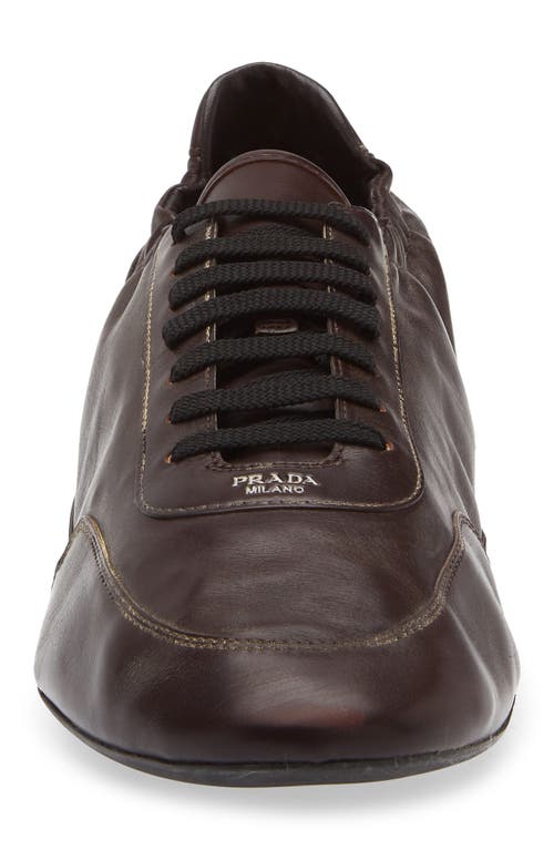 Prada Collapse Low Top Sneaker In Brown