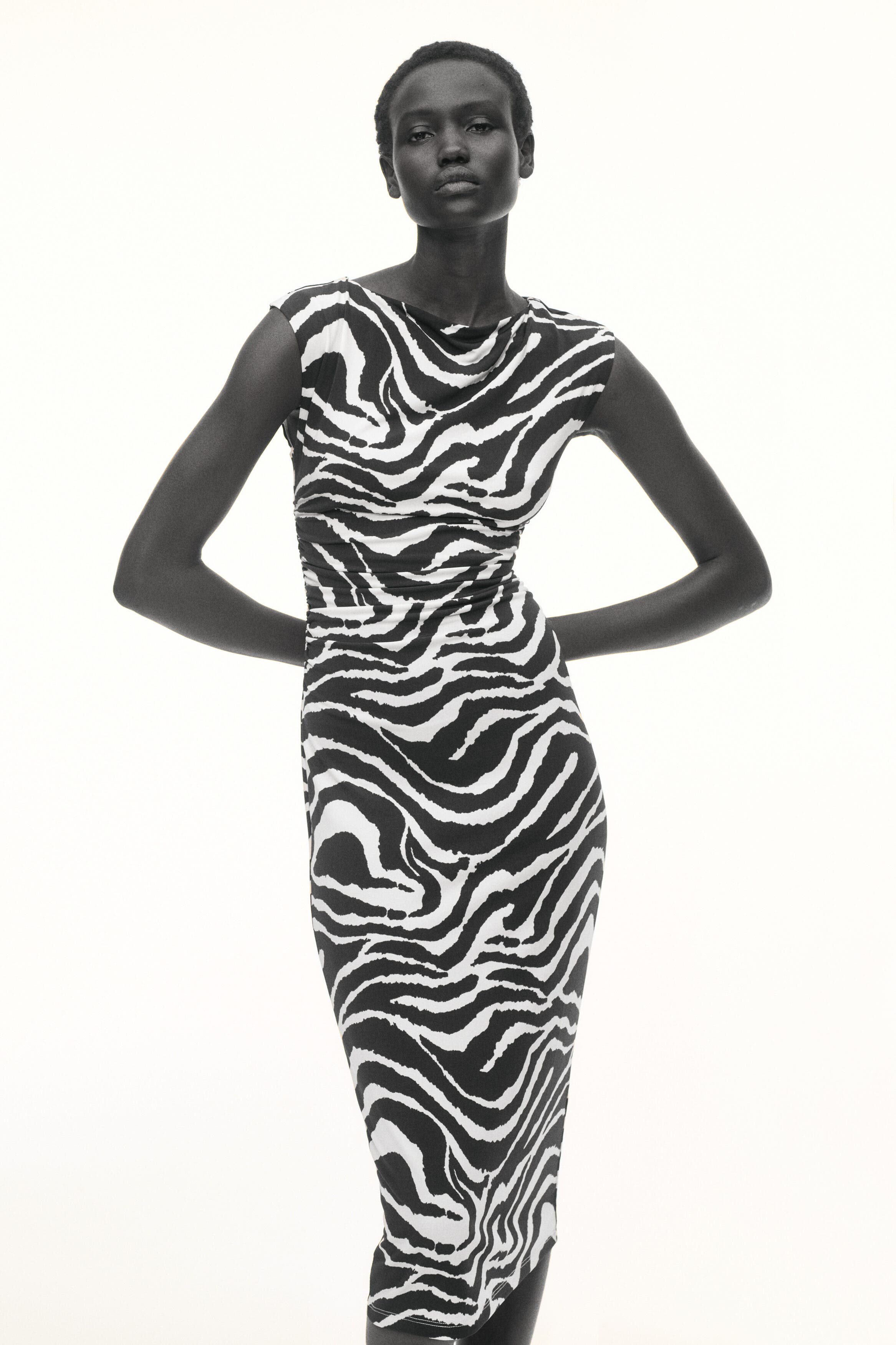 H&M Cap-sleeved dress in Cream/zebra Print at Nordstrom, Size Small