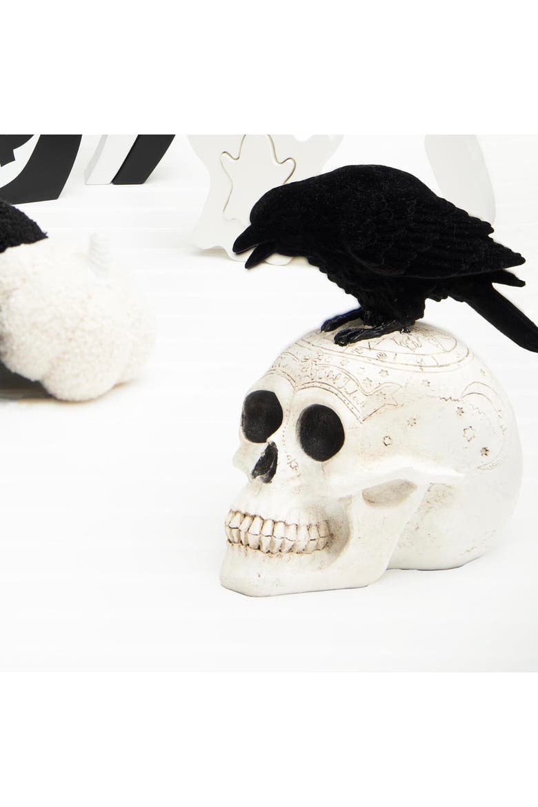 Skeleton Skull & Crow Decorative Halloween 8.5" Figurine, Alternate, color, White
