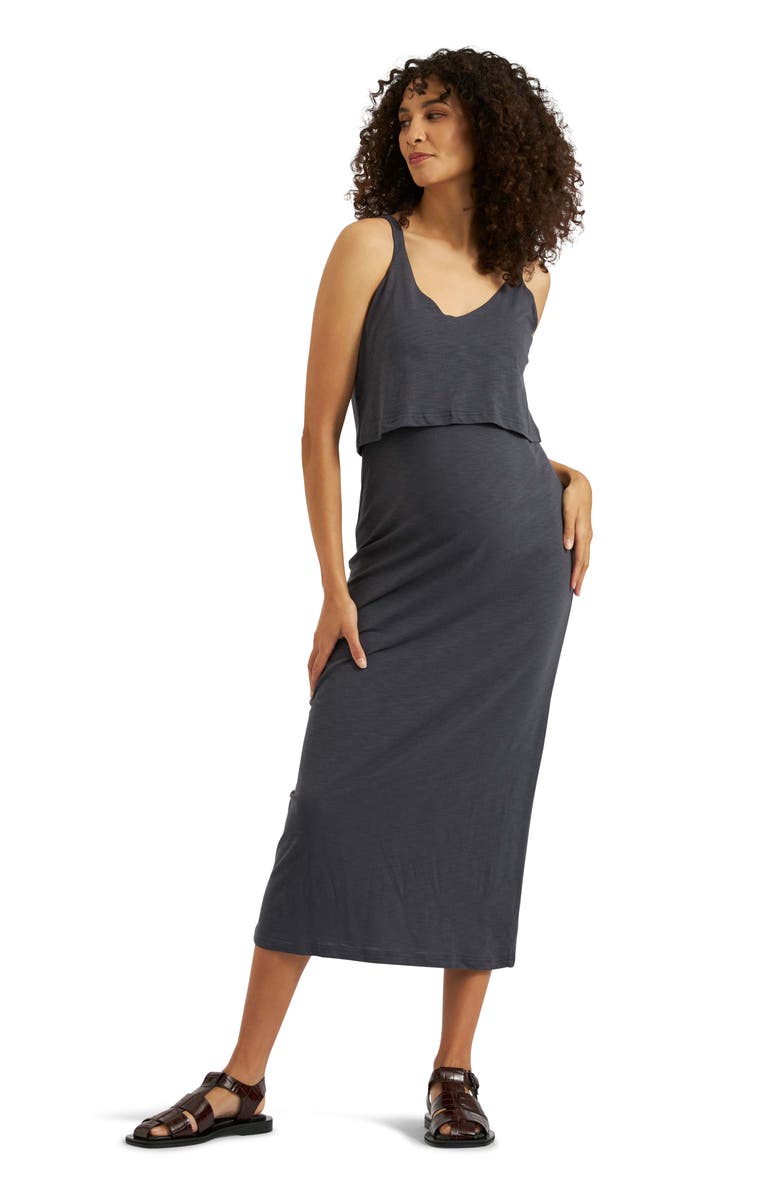 Ripe Maternity Kerry Nursing Dress, Alternate, color, Slate