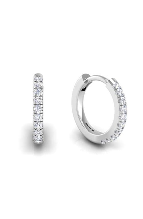 Seed2Stone Pavé-All-Day Hoops in White Gold  product