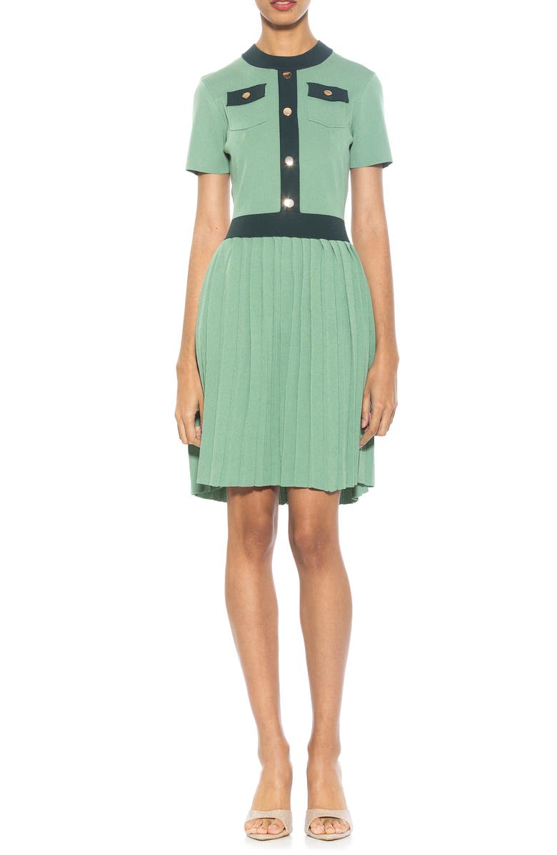 Alexia Admor Anders Short Sleeve Pleated Fit & Flare Dress, Main, color, 