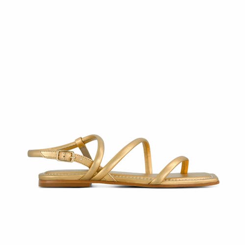 BERNARDO FOOTWEAR BERNARDO FOOTWEAR ODESSA SANDAL 