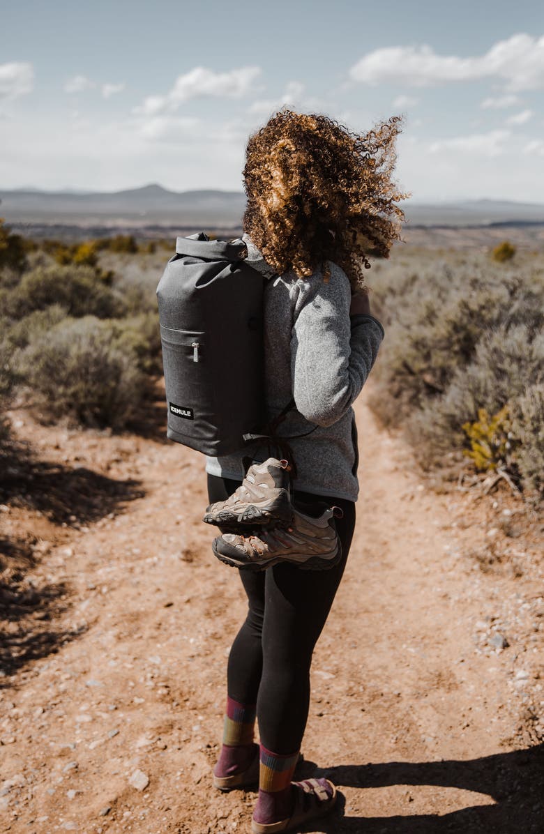 ICEMULE Coolers Jaunt 9L Backpack Cooler, Alternate, color,