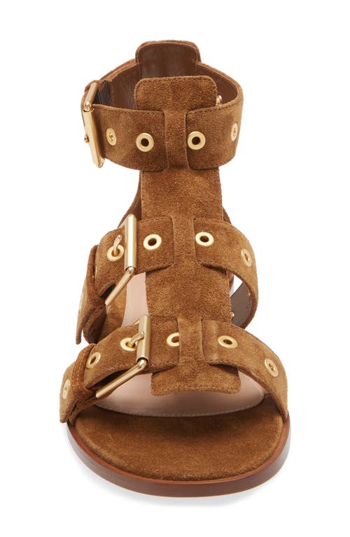 Gianvito Rossi Buckle-strap Flat Sandals In Texas