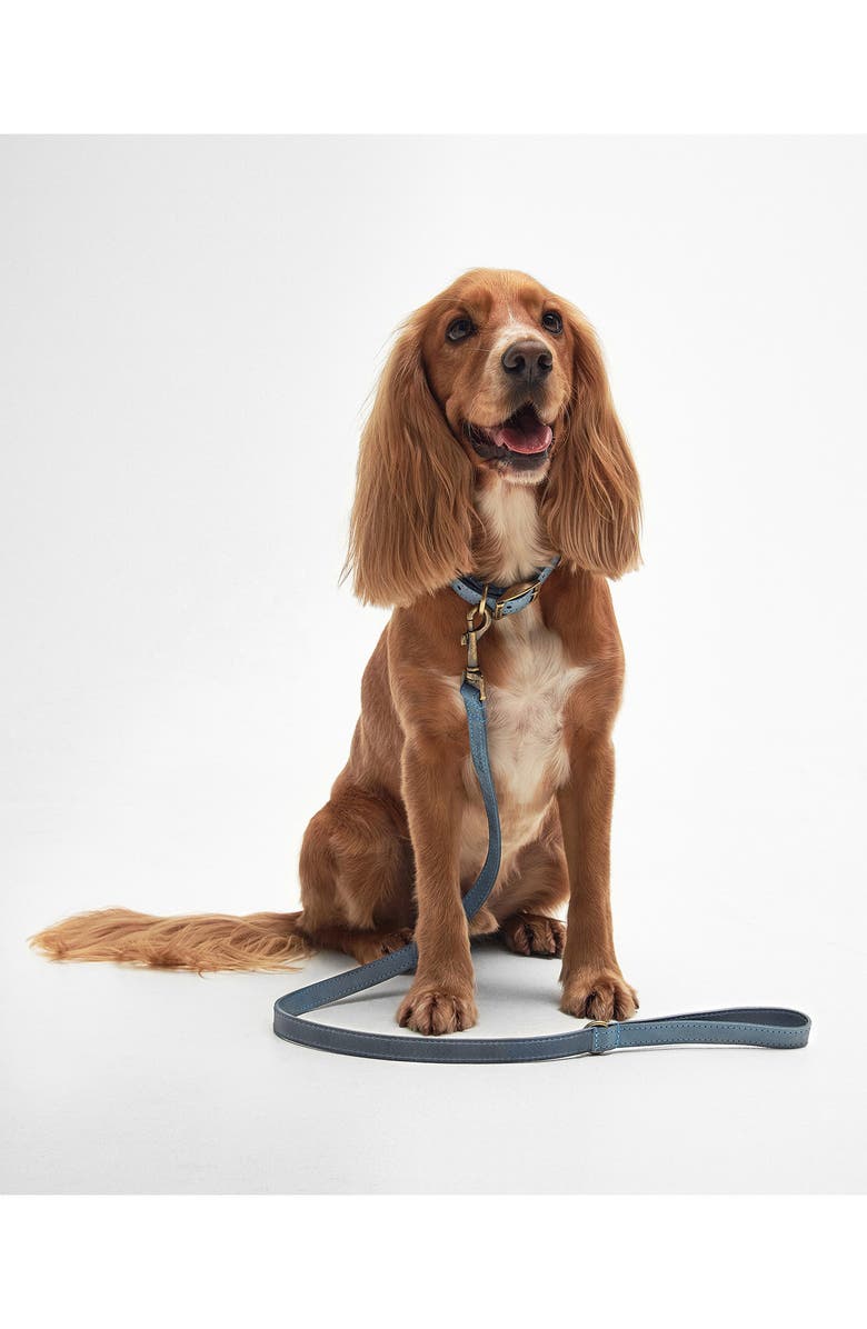 Barbour Leather Dog Lead, Alternate, color, 