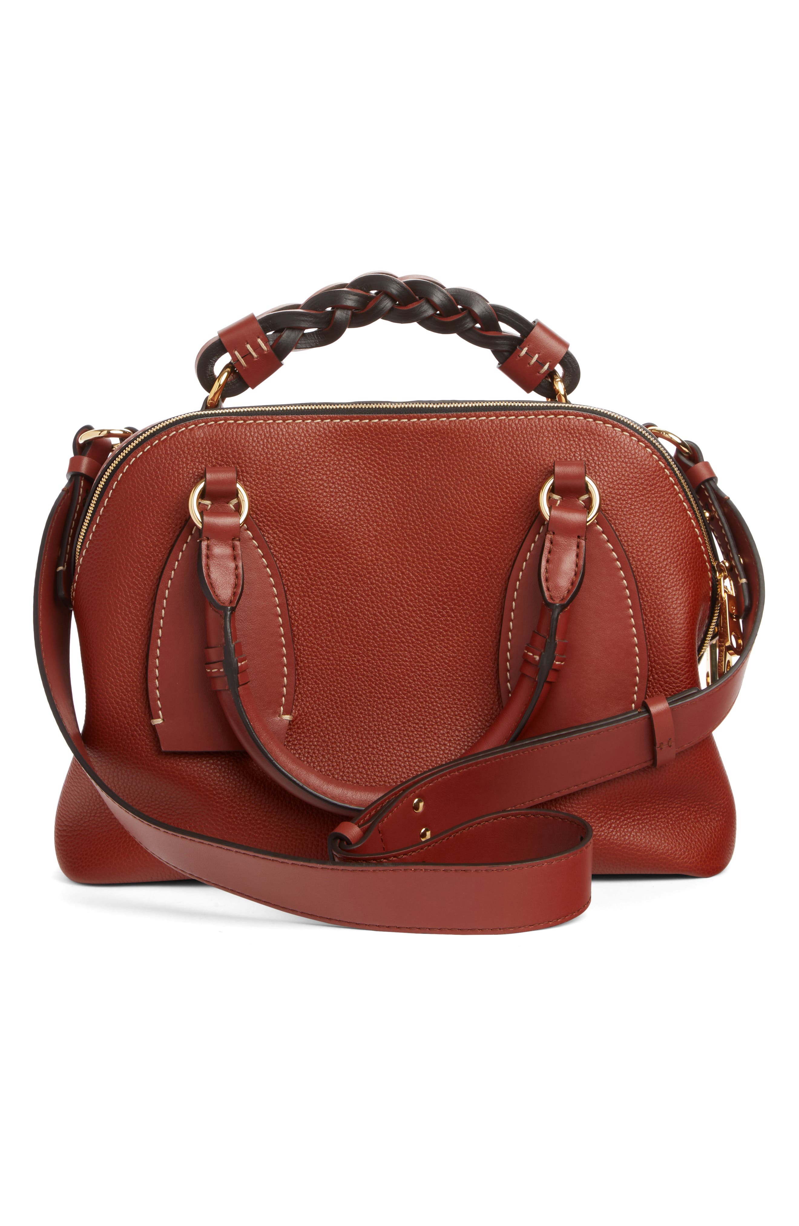 Medium Daria Leather Day Bag, Alternate, color, SEPIA BROWN