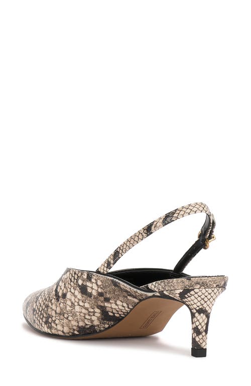 Vince Camuto Kylien Slingback Pointed Toe Pump