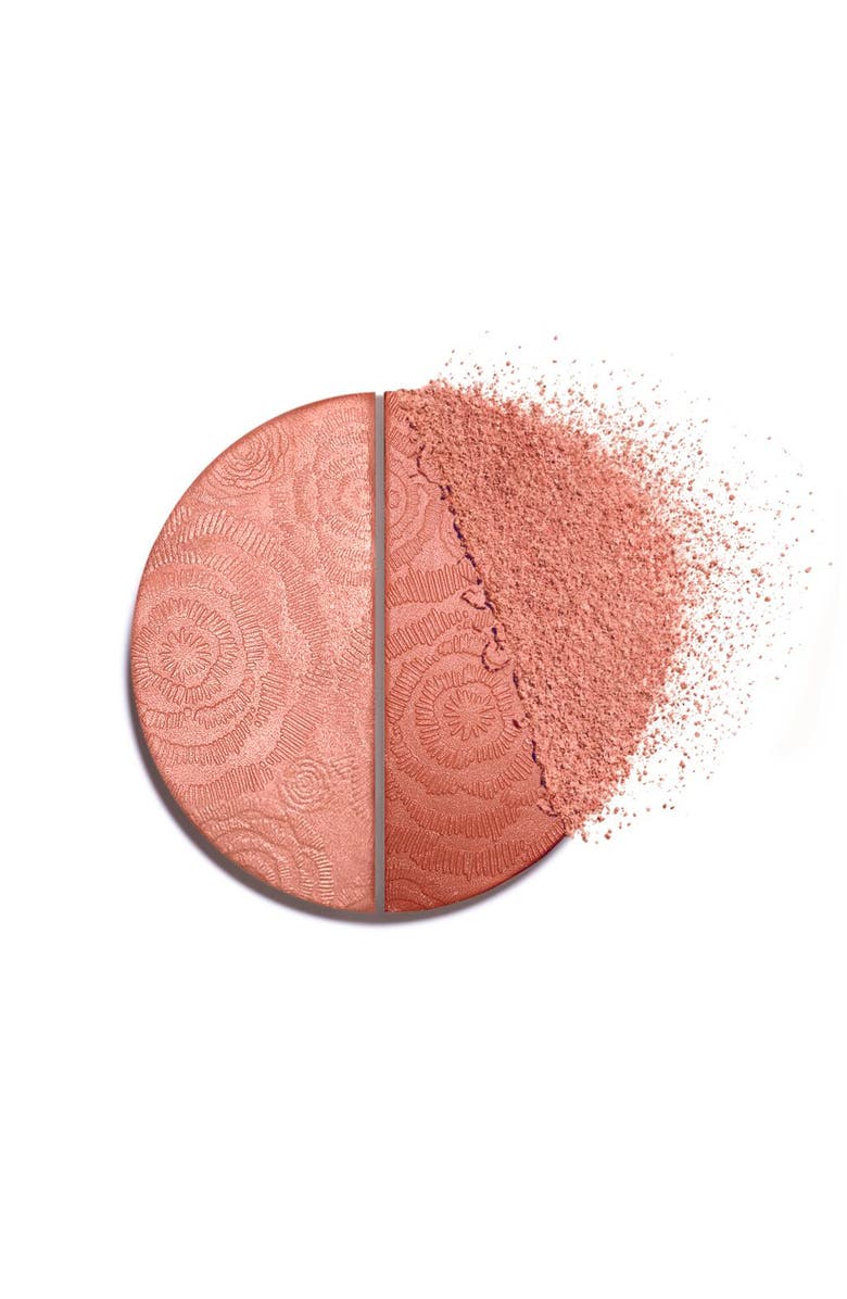 CHANEL FLEURS DE PRINTEMPS <br />Blush & Highlighter Duo, Alternate, color,