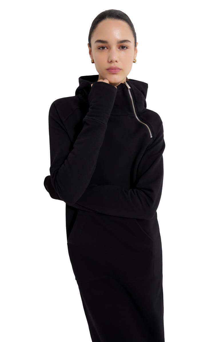 Marcella Tompkins Long Sleeve Hoodie Maxi Dress, Alternate, color, 