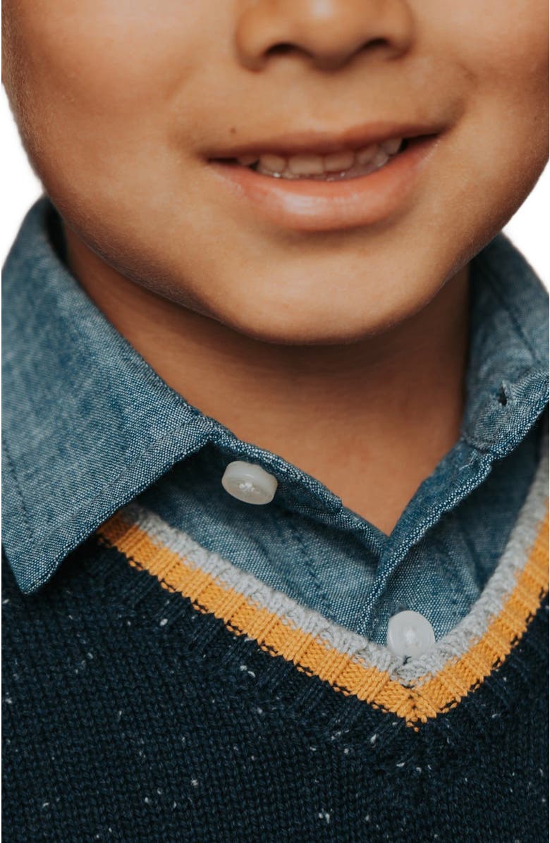 Hope & Henry Boys' Organic V-Neck Sweater, Kids, Alternate, color, Navy Fleck With Tipping