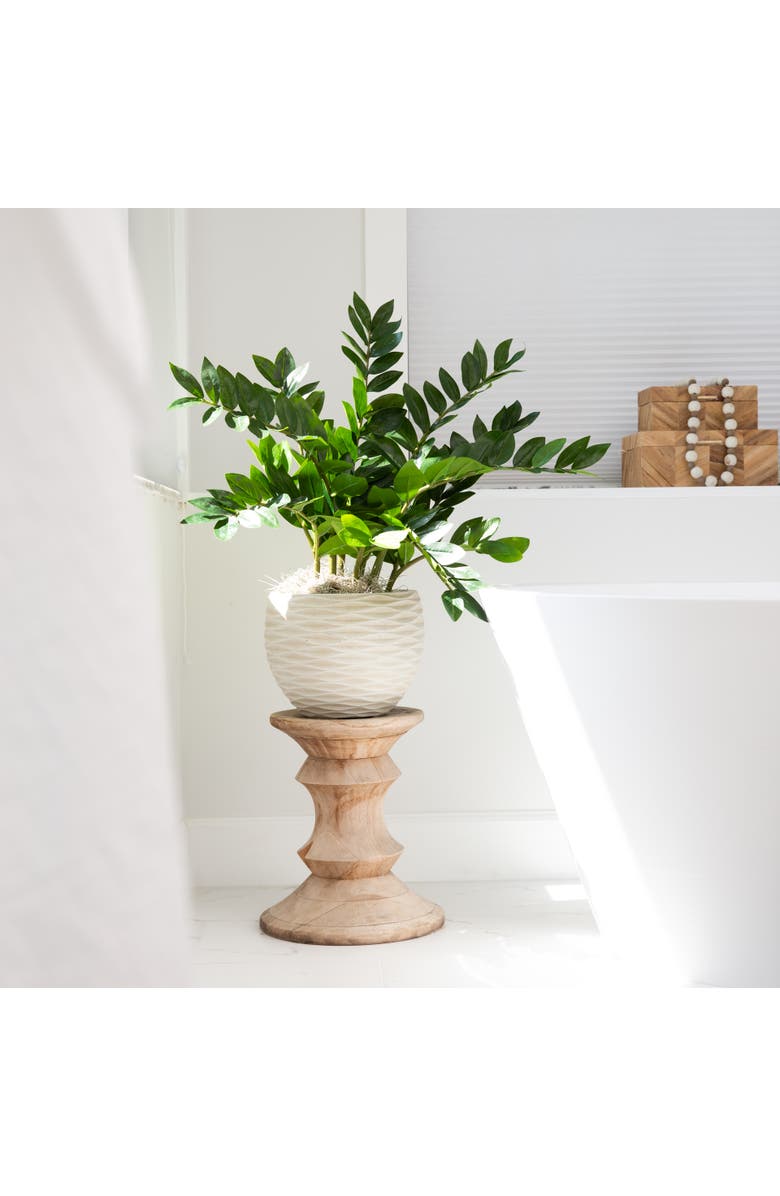 NEARLY NATURAL 28-in Artificial Zamioculcas Plant with Decorative Planter, Alternate, color, Green