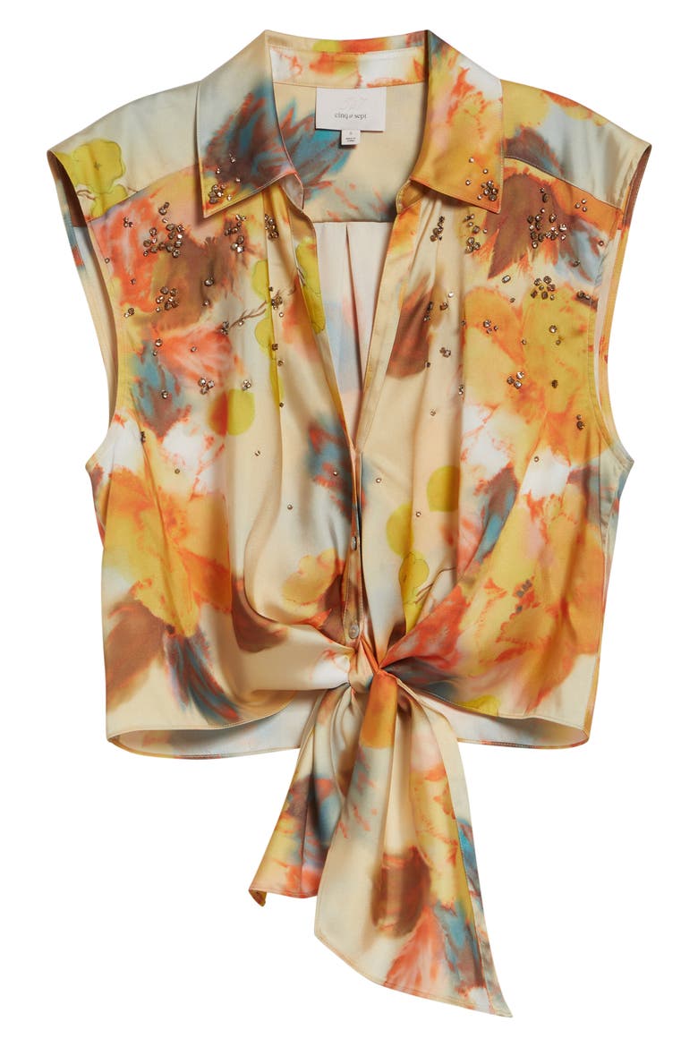 Watercolor Floral Crystal Embellished Tie Front Top, Alternate, color, SMOKE SAND MULTI