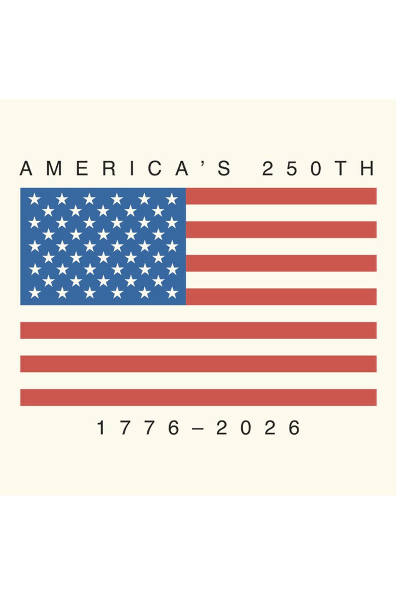 Junior's America's 250th Anniversary Flag Short Sleeve Skimmer T-Shirt, Alternate, color, Egret
