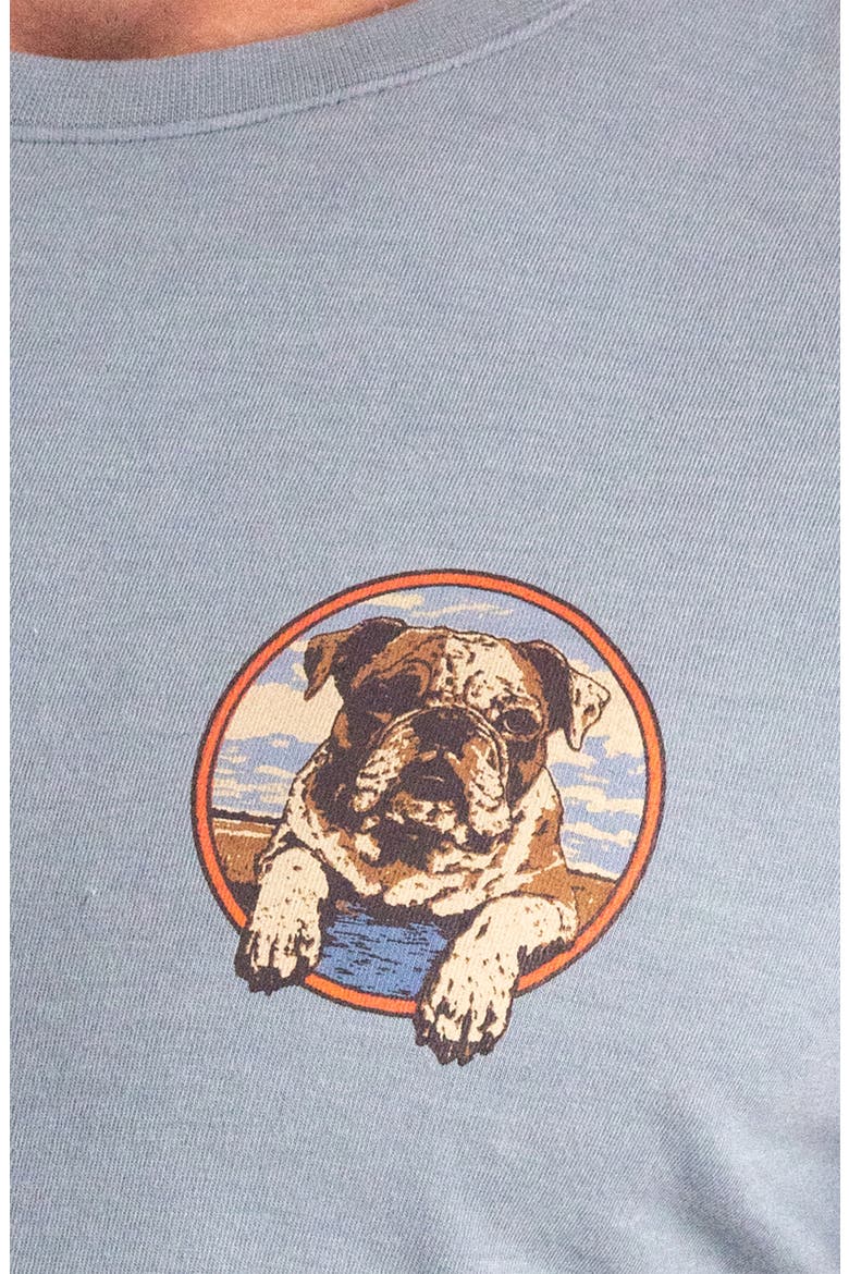 Cotton Blend Graphic T-Shirt, Alternate, color, DUSTY BUE