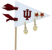 Color Shout Indiana Pennant Pair Earring Set