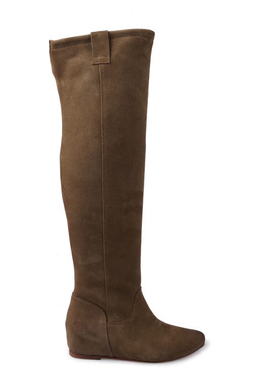 Zigi Beretta Knee High Boot In Brown