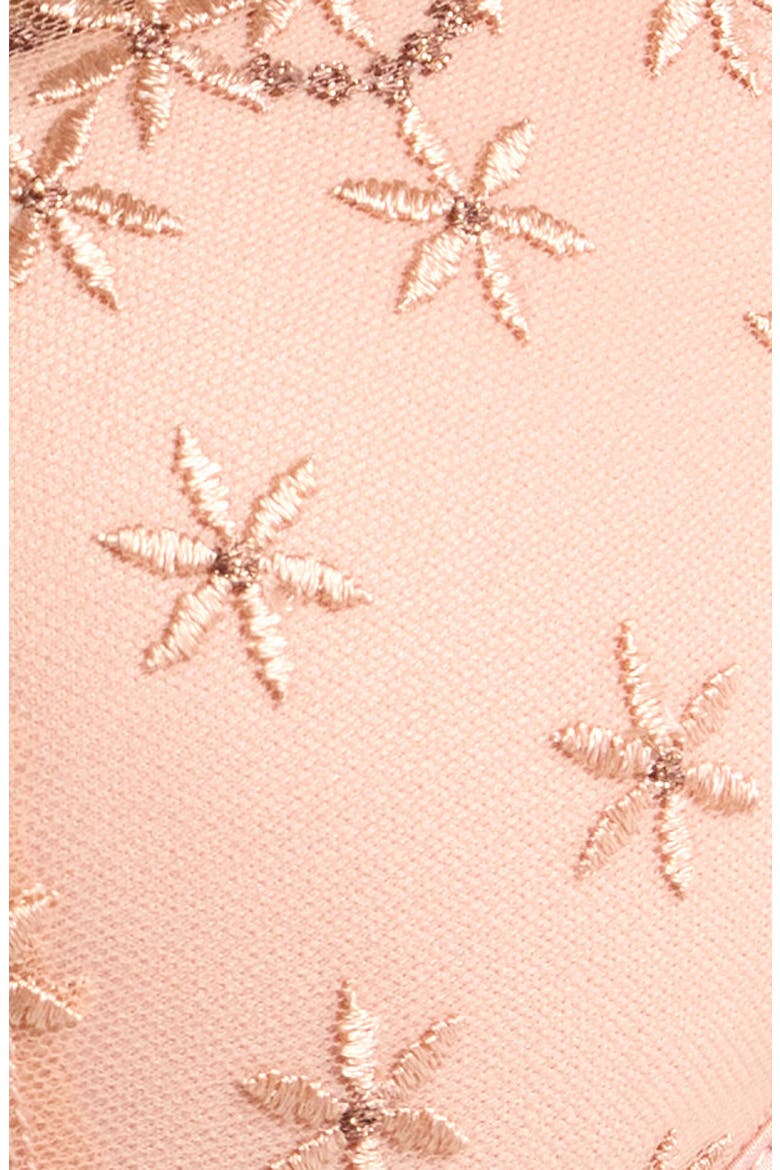 The Plunge Push-Up Bra, Alternate, color, BLUSH