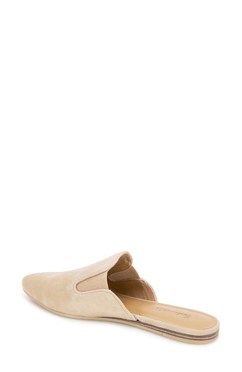 Splendid Liza Pointed Toe Mule In Brown