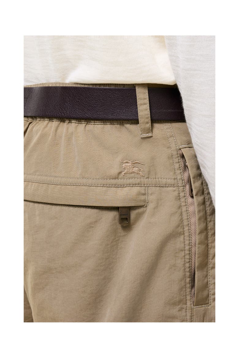 Nylon Cargo Trousers, Alternate, color, Finch brown