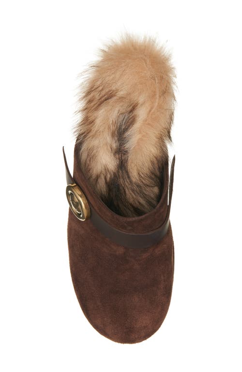 Moncler Xxmm Mule In Brown
