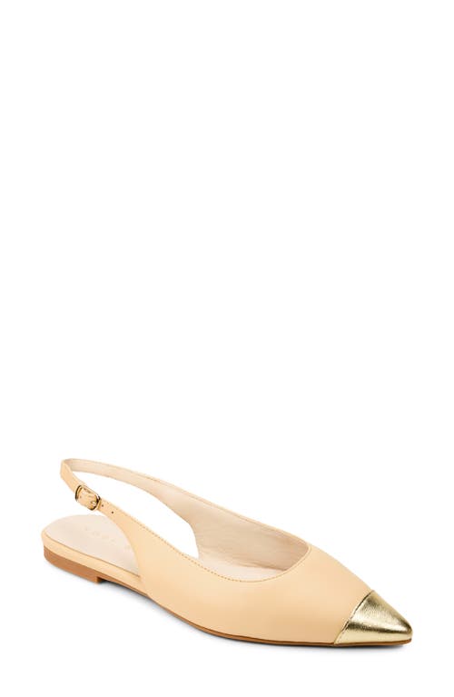 Yosi Samra Vera Pointed Cap Toe Slingback Flat In Beige