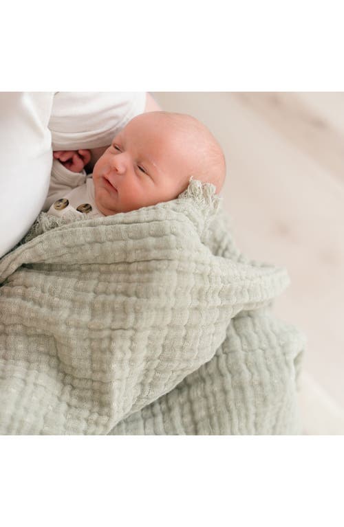 Crane Baby Ombré Cotton Muslin Blanket In Gray